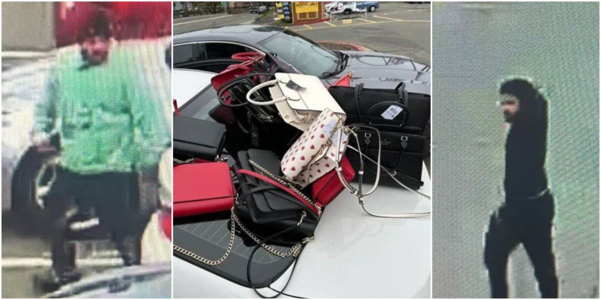 A man in a teal sweater from police cam footage, a pile of purses on a white car, a man in all black caught on police footage