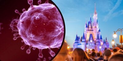 A sexually trasmitted disease floating near the Walt Disney World Cinderella Castle as guests watch on.