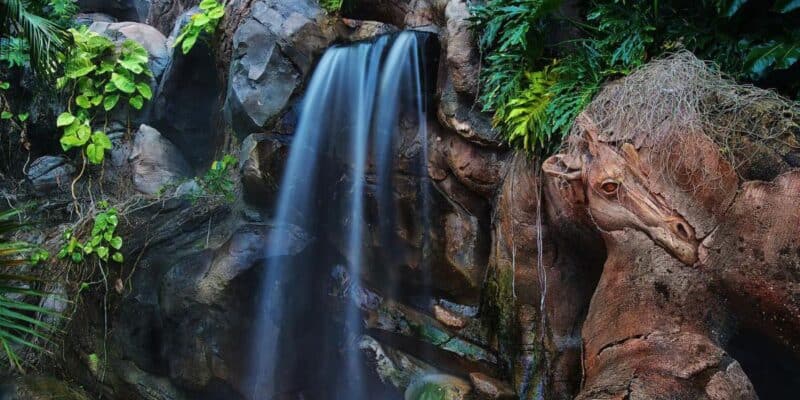 A close up shot of the Tree of Life at Disney's Animal Kingdom featuring a waterfall and a carving of a horse.