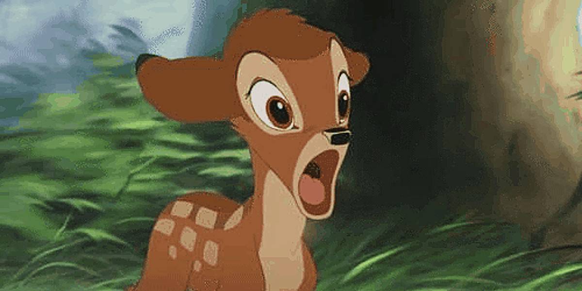 Bambi looking shocked