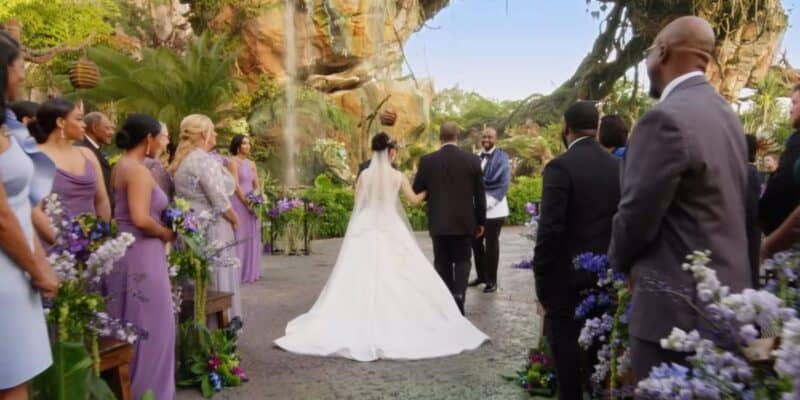 A couple gets married in Pandora – World of Avatar
