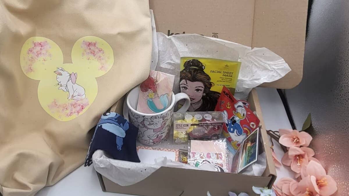 Best Disney Gift Baskets: Mystery Surprise Box 