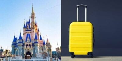 Cinderella castle with a yellow suitcase