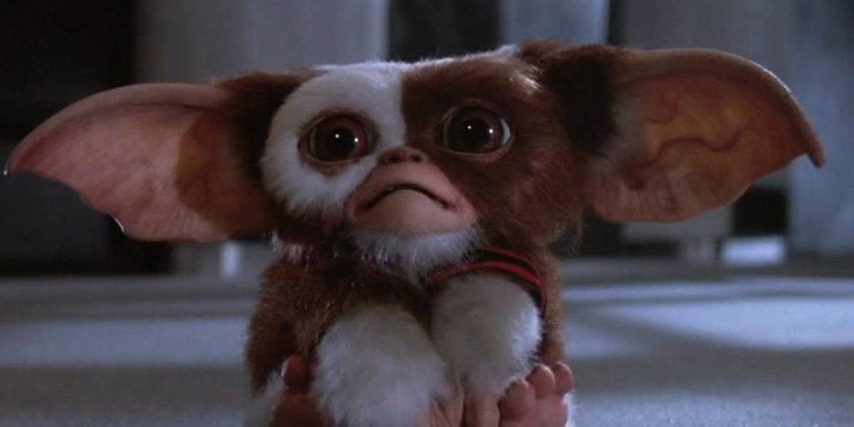Gizmo from 'Gremlins' looking sad