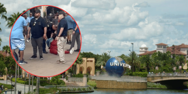 Security personnel apprehending an individual at a theme park entrance.