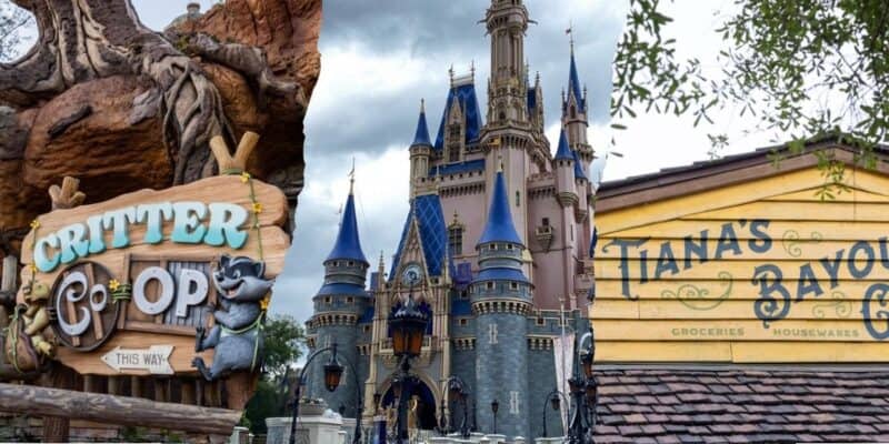 A collage of two images: the first shows the critter co-op with a sign and squirrel statue, and the second displays cinderella's castle at Disney World beneath a cloudy sky.
