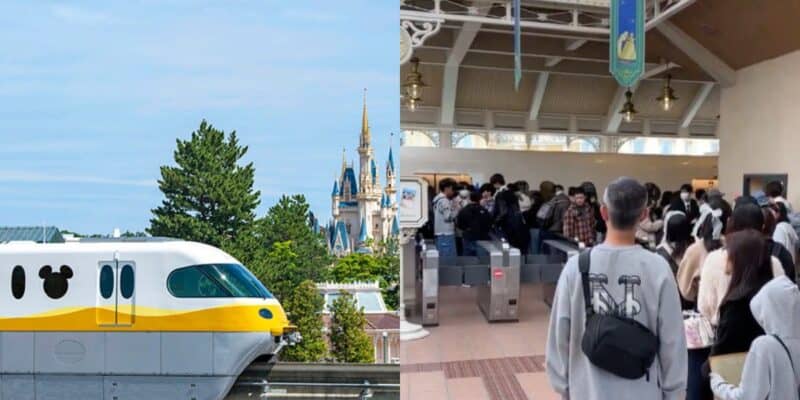 A contrasting view of a magical journey: on the left, an iconic disney resort with its fairy-tale castle awaiting visitors, and on the right, travelers gathered inside a busy terminal, possibly anticipating their adventure to the theme park.