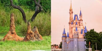 Two distinct scenes: on the left, termite mounds on a grassy field under a tree; on the right, a fairytale castle with blue turrets and pink walls under a soft pink sky.