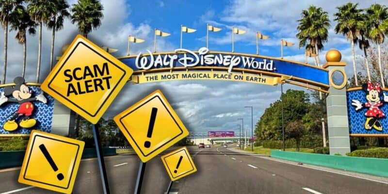 The entrance to Disney World with warning signs reading "scam alert" superimposed on the image, suggesting caution or issues at the park.