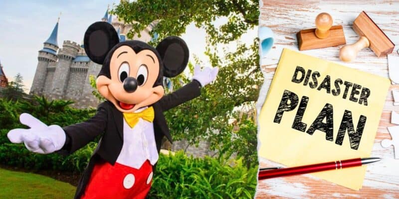 A split image with Mickey Mouse posing happily at Disney World on the left and a wooden desk setup featuring a 'disaster plan' note, pencils, and rubber stamps on the right.