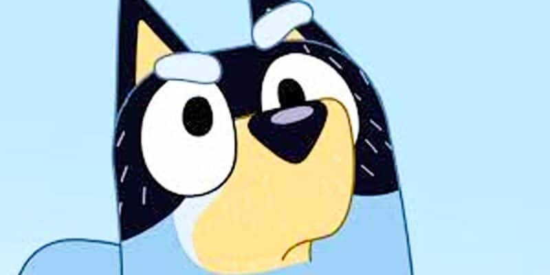 Cartoon image of a black and grey dog with large, expressive white eyes and a small black nose, set against a light blue background, from the show 'Bluey'