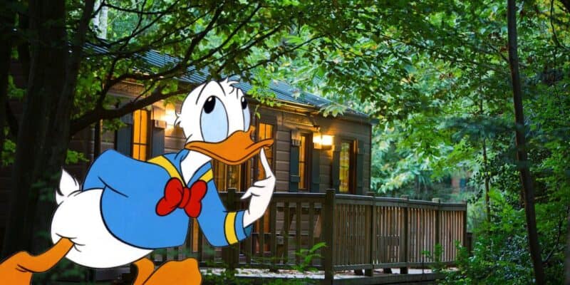 Donald Duck is animatedly walking in front of a serene wooden cabin surrounded by lush green trees, giving a playful and whimsical contrast to the natural setting.