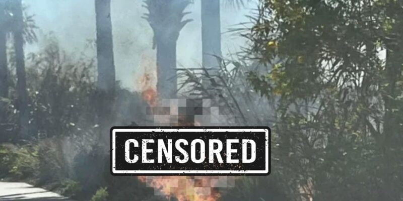 The image appears to show a scene of a fire outdoors at Walt Disney World with trees and smoke visible. the center of the image is obscured by a "censored" bar.