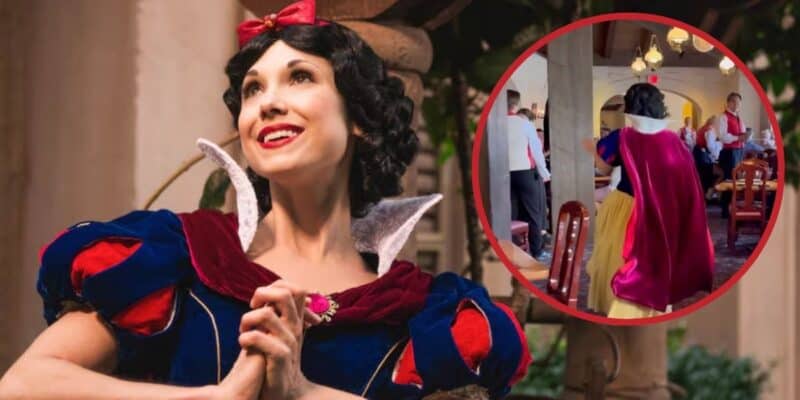 A woman dressed as snow white poses with a smile, while the inset image shows her serving food to guests in a themed restaurant.