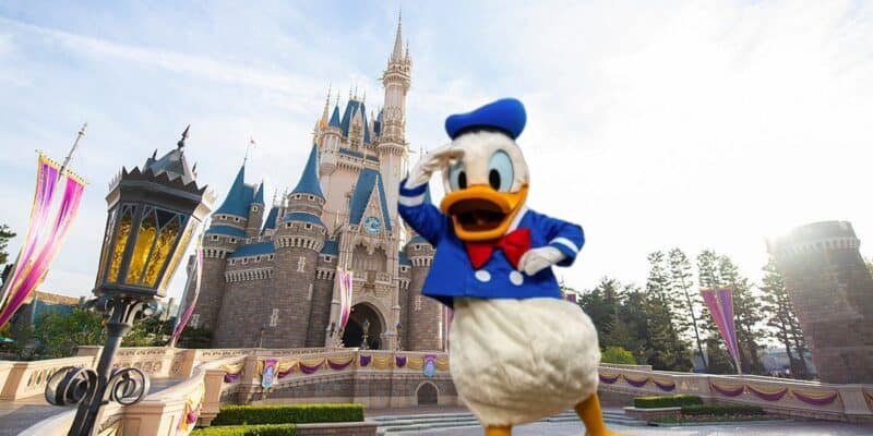 Disney Donald Duck Photograph トニーアンセルモ Walt Disney, Donald Duck, Artist Signed Animation Cel sold