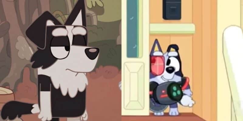 Two scenes from an animated show featuring anthropomorphic dogs. On the left, a black and white dog stands with a neutral expression in a wooded area. On the right, a similar dog, reminiscent of Bluey, wears a futuristic outfit, holds a toy weapon, and stands inside a building.