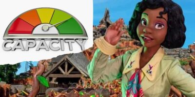 A graphic showing a gauge indicating high capacity on the left and a character with dark curly hair waving on the right. The background depicts a charming Disney log cabin surrounded by greenery. The gauge's needle points towards the green zone.