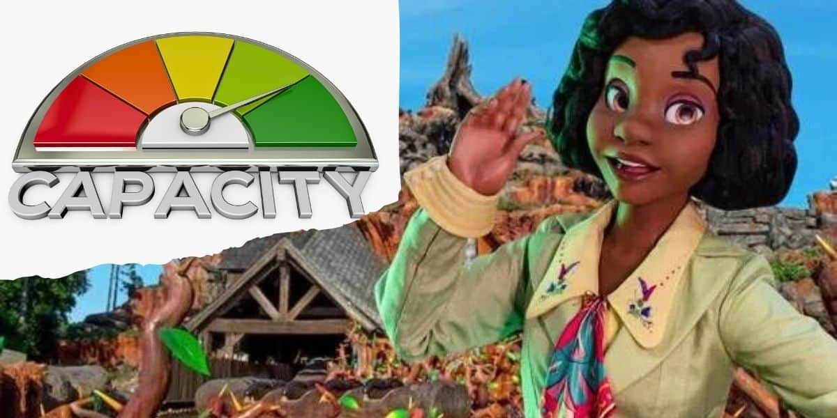 A graphic showing a gauge indicating high capacity on the left and a character with dark curly hair waving on the right. The background depicts a charming Disney log cabin surrounded by greenery. The gauge's needle points towards the green zone.