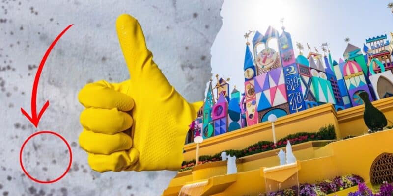 A gloved hand giving a thumbs-up is prominently displayed on the left side of the image. On the right side, there is a colorful and whimsical Disney building with various decorations and two small fountains in front, all under bright sunlight. A red arrow points to a small circled area on the left side.