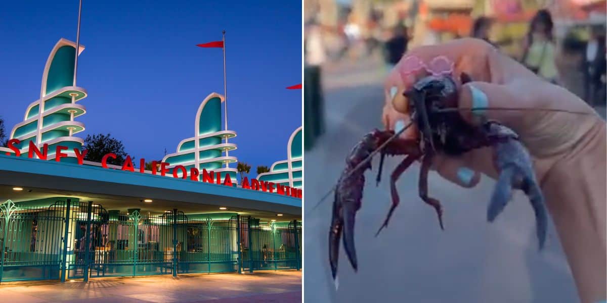 Guest breaks Disneyland rules by bringing in a crawfish.