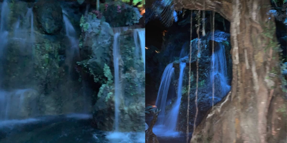 A split-image showing two views of new lighting at Living with the Land