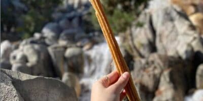 A person holding a long churro vertically at Disney World, with a blurry background featuring rocks and a waterfall in a natural outdoor setting.