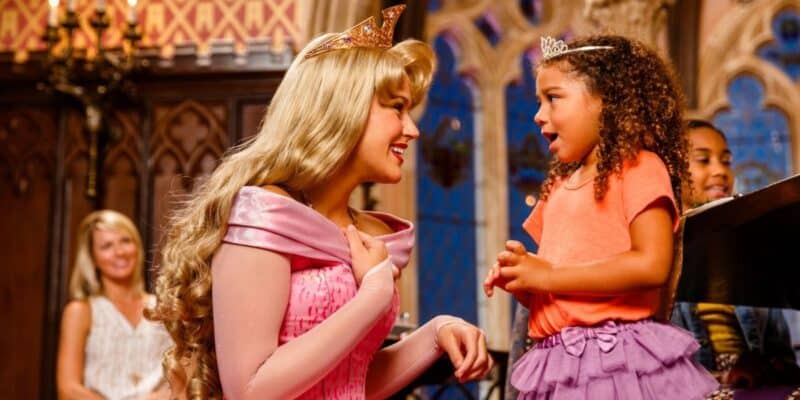 A young guest meeting Princess Aurora at a Disney theme park