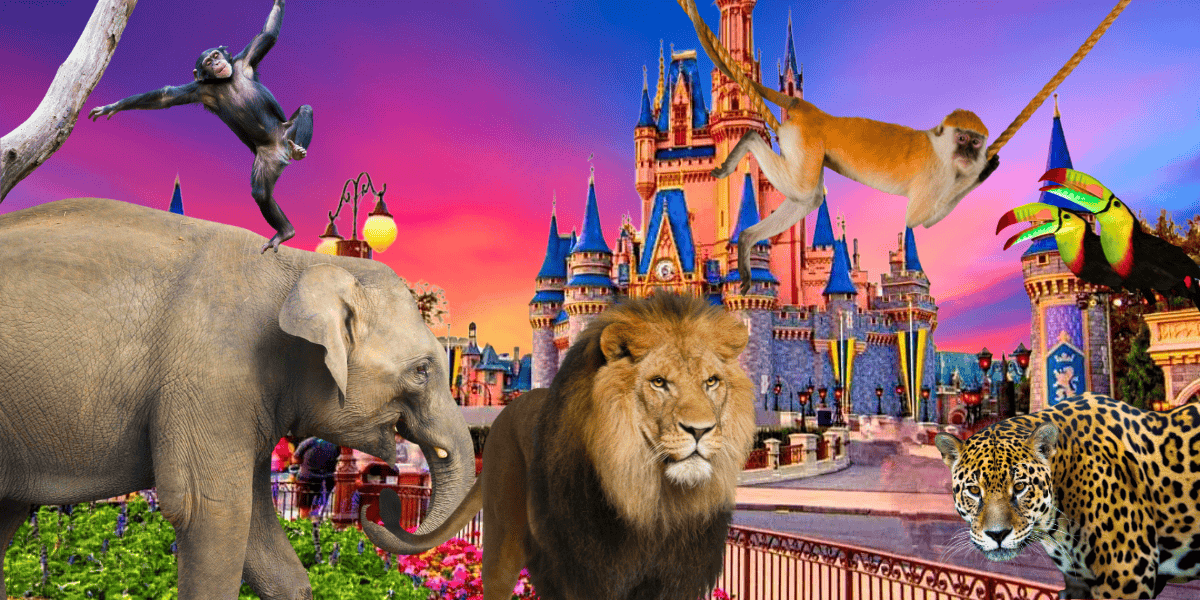 A vibrant, surreal collage featuring a fairy-tale Disney World castle with animals such as elephants, lions, monkeys, and a toucan in fantastical poses, set against a vivid pink and blue sky