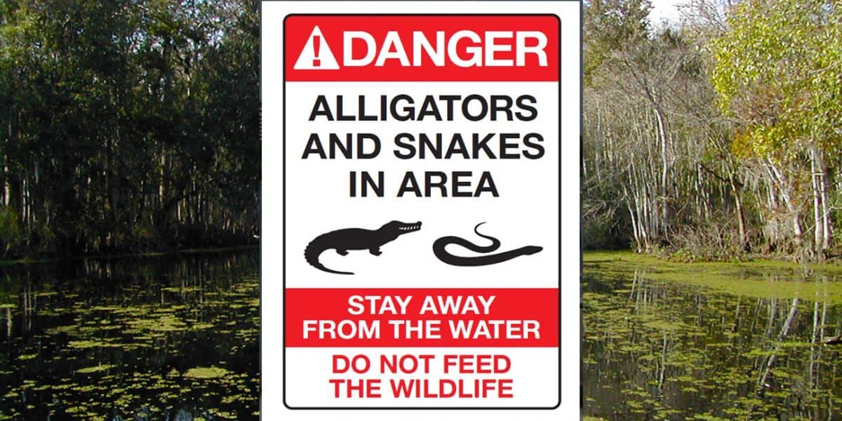 Warning sign near a water body surrounded by trees in Disney World. The sign reads: "DANGER. ALLIGATORS AND SNAKES IN AREA. STAY AWAY FROM THE WATER. DO NOT FEED THE WILDLIFE" and features silhouettes of an alligator and a snake.
