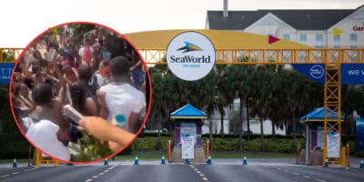 A crowd of people gathered at an entrance with a "SeaWorld Orlando" sign overhead framed by a yellow arch. A circular inset shows a closer view of the crowd, appearing lively and holding up phones. The arch is flanked by palm trees and buildings in the background.