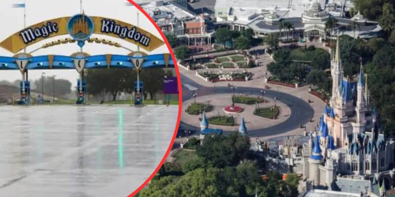 An aerial shot showing an empty Magic Kingdom entrance on the left, encircled by a red line. On the right is an overhead view of Cinderella Castle and surrounding areas in Magic Kingdom, featuring pathways and lush green spaces. The scene captures a rare mass absence at Disney, possibly due to cancelled vacations.