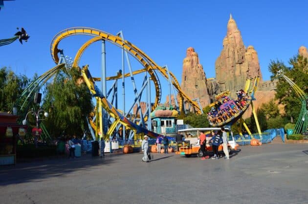 Roller Coaster Horror: Tree Falls on Guests Mid-Ride at Theme Park