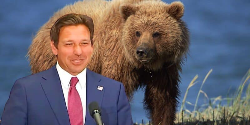 A man in a suit and red tie is standing and smiling, with his hand resting on a microphone. Behind him is the image of a brown bear near water and grass. The background and foreground images are blended together.
