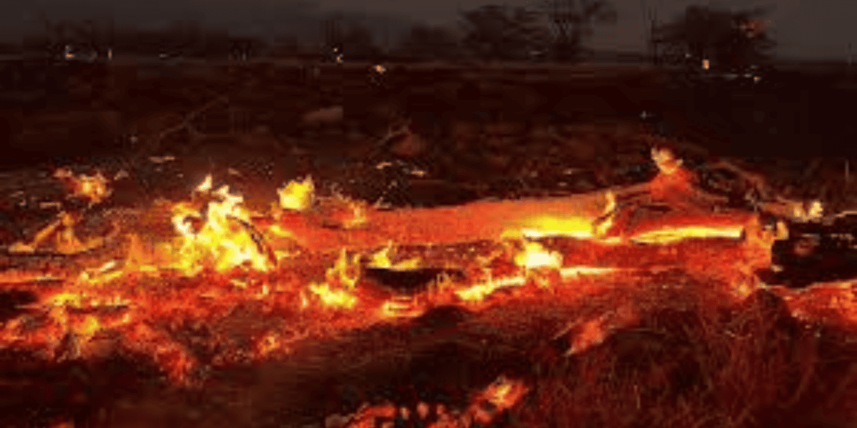 A glowing, smoldering log lies on the ground, surrounded by bright orange flames and scattered ash and debris. The background is dark, likely at night, with silhouetted trees faintly visible. The scene evokes a sense of urgency reminiscent of Dolly Parton's heartfelt charity work in bringing aid to wildfire victims.