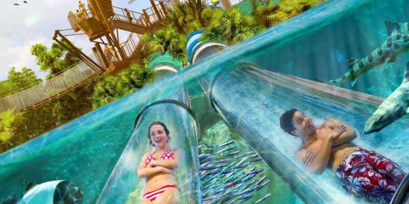 Two people, a woman and a man, are enjoying clear water slides at a Florida Theme Park that pass through an aquarium filled with fish and a shark. The slides are surrounded by lush greenery and other water park structures. Both individuals have smiles of excitement on their faces.