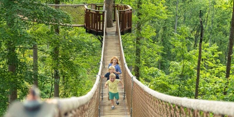 Three children are walking on a wooden suspension bridge surrounded by lush green trees in a theme park. The bridge is elevated and leads to a platform around a large tree. The children, dressed casually, appear joyful as they explore their adventure amidst nature's beauty.