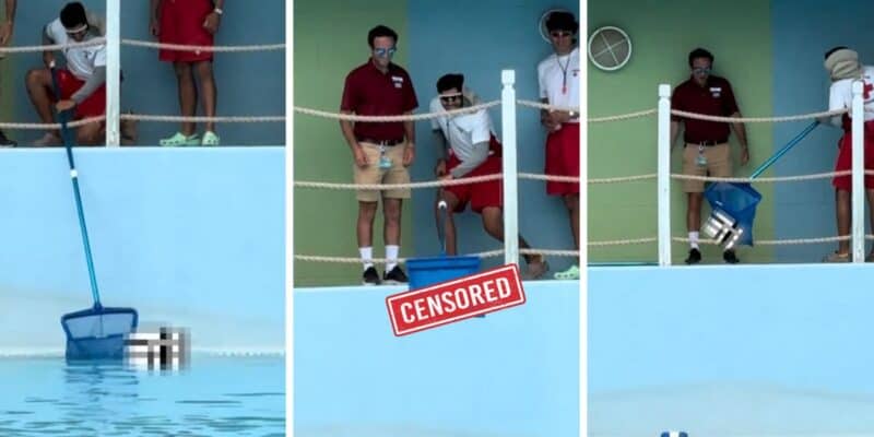 Three stills from a video of men fishing an adult toy out of the water.