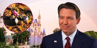 Ron DeSantis, Cinderella Castle, balloons tangled on a ride at Disney California Adventure.