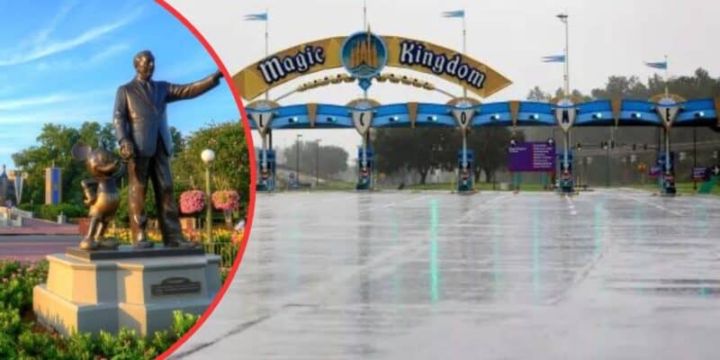 The image shows a split screen with the left half depicting a statue of a man with a small cartoon character, situated in a colorful garden under clear skies, and the right half showing the entrance arch of Magic Kingdom on a rainy day with a wet road.