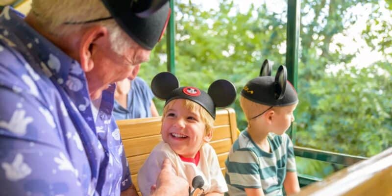 Guests riding the Walt Disney World Railroad at Disney World