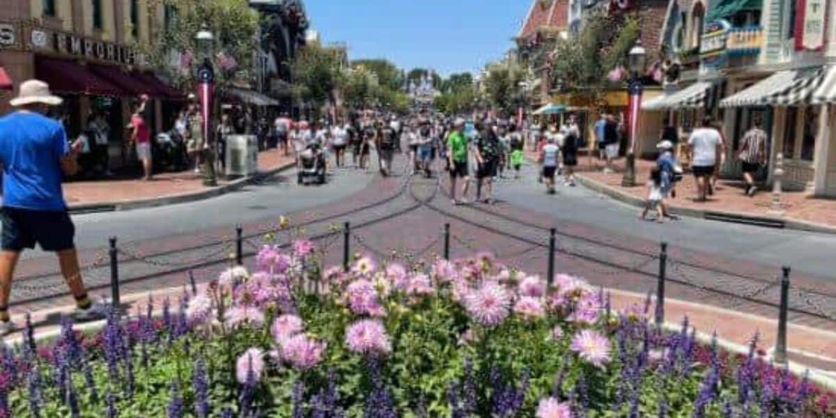 Flowers on Main Street, U.S.A. at Disneyland Park.
