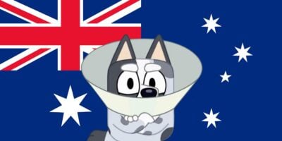 A cartoon blue heeler dog named Bluey with a worried expression is wearing a large cone, commonly used to prevent pets from scratching or licking wounds. The background features the Australian flag, indicating Bluey's connection to Australia.