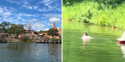 Left side: A scenic view of the Magic Kingdom theme park with a lake in the foreground and various buildings and attractions in the background under a partly cloudy sky. Right side: A person swimming in greenish water near lush vegetation on a sunny day.