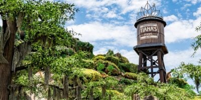 An image of a lush, green landscape with a tall water tower labeled "Tiana's Foods" prominently standing amidst the foliage. The sky is clear with a few scattered clouds, adding to the vibrant and scenic environment.