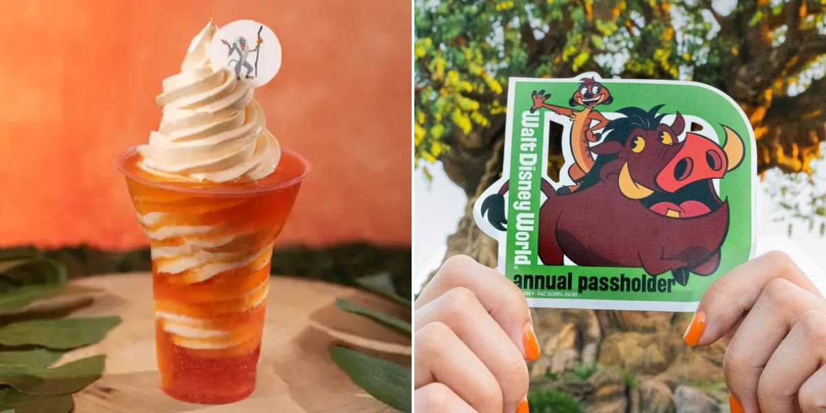 The image is split into two. The left side shows a parfait with swirled vanilla and orange sherbet in a clear cup. The right side highlights the exclusive benefits for Disney World Annual Passholders, featuring hands holding a Walt Disney World annual passholder card with Timon and Pumbaa from "The Lion King.