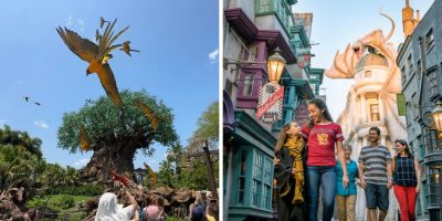Disney's Animal Kingdom Park and Universal Orlando