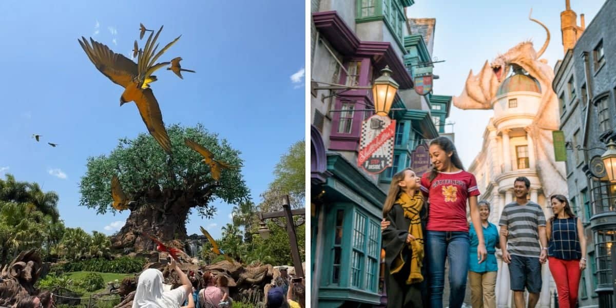 Disney's Animal Kingdom Park and Universal Orlando
