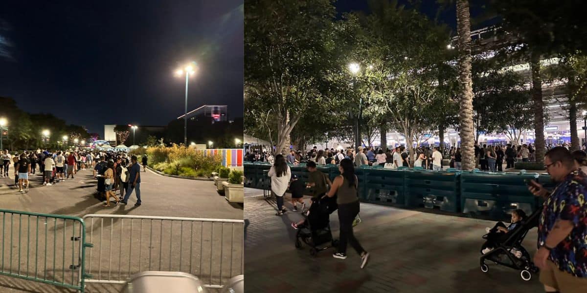 A nighttime scene showing a large crowd of people gathered outdoors. On the left, a line of barricades partially encloses the area, while on the right, many people stand or walk near trees and streetlights. Some people are pushing strollers at Disneyland