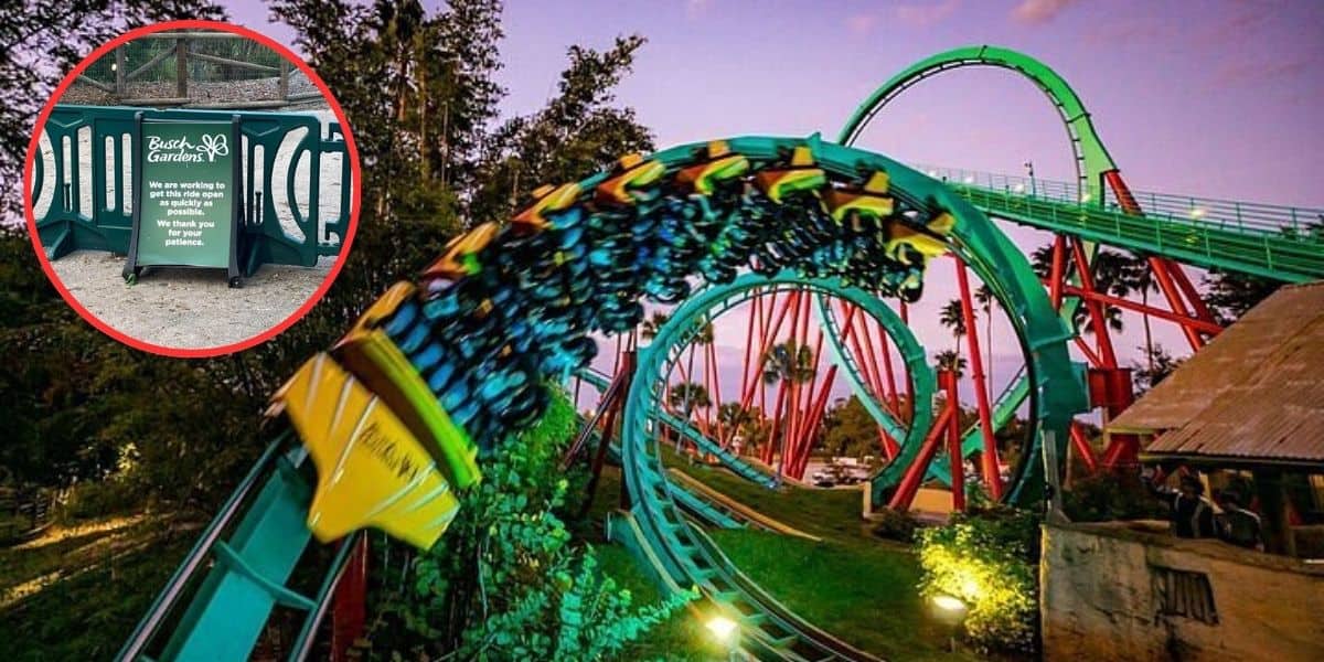 A roller coaster at Busch Gardens