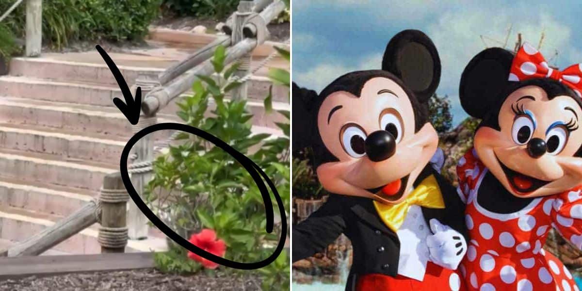 On the left, a black arrow points to a plant with a red flower in front of a set of stone steps. On the right, Mickey Mouse and Minnie Mouse are standing close together, both smiling. Mickey is dressed in a black suit with a yellow bow tie, and Minnie is in her classic Disney red polka-dot dress.